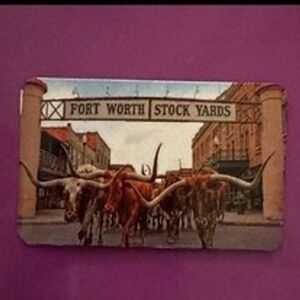 Texas Stockyards Magnet Multicolor l Longhorn Cattle New